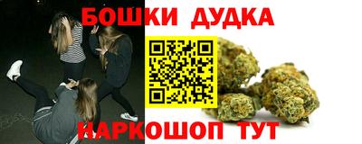 прущие грибы Можга