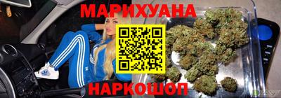 прущие грибы Можга