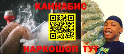 прущие грибы Можга
